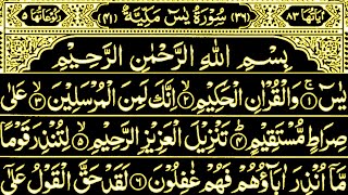 Surah Yaseen | Surah Naba | 30th Parah | Heart Touching Recitation 📿 | Part 276