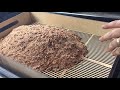 16x24 Mealworm Pupae Sifting Tray in Action