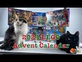 LEGO Advent Calendar 2024 - DEC 19
