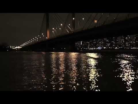 اديب الدايخ اخذو عقلي وصبري نهبو طرب