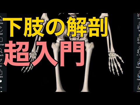 口腔解剖学シリーズ 1-5 セット、人体解剖学上肢下肢計7冊セット 口腔解剖学シリーズ 1-5 セット、人体解剖学上肢下肢7冊セット