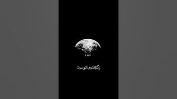 تلاوة تشرح الصدر من سورة الانبياء - وديع اليمني