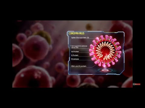 covid-19-@-coronavirus-explained-in-3d-||-good-explaination