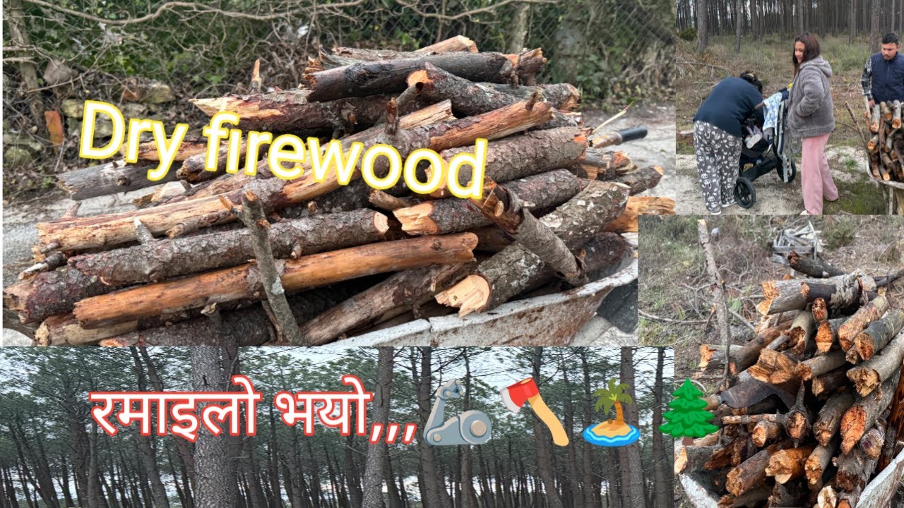it's getting hard to survive the winter ,we are chopping dry wood .