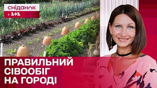 Як правильно засаджувати город з урахуванням минулорічного врожаю? - Антоніна Лесик