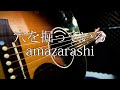 穴を掘っている/amazarashi【弾き語り】