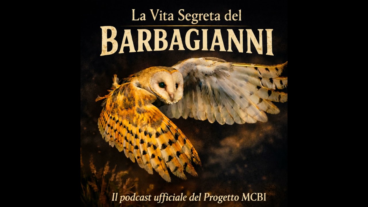 S1 E1 - Il potere delle idee - Il primo nido