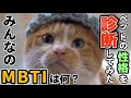 もんちゃんのMBTIは？（人間用の診断でやってみた）