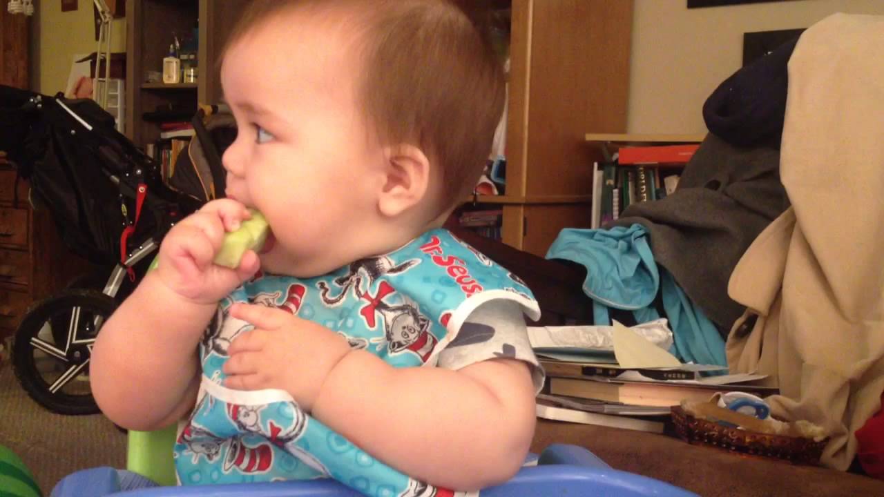 Blw 1st cucumbers YouTube