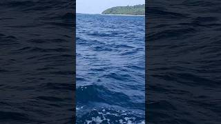 The sea water  is very  clean. 🚢ទឹកសមុទ្រស្អាតណាស់ #youtubeshorts #fypシ゚viral #youtubevideo
