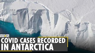 COVID-19 cases recorded in Antarctica for first time | World's most isolated continent | World News