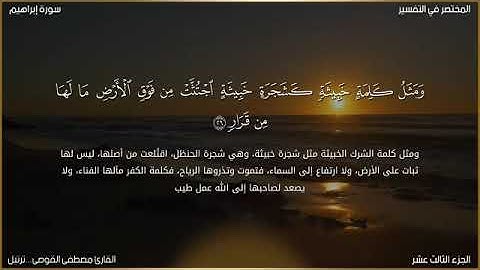 وأدخل الذين آمنوا وعملوا الصالحات جنات... ترتيل من سورة إبراهيم