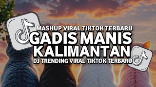 DJ PE PE APA GADIS MANIS KALIMANTAN VIRAL TIKTOK TERBARU 2026