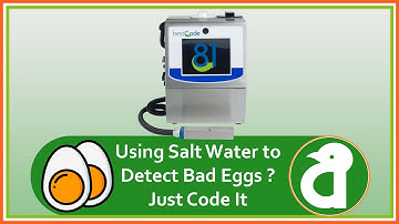 High Speed Egg Grade Coding