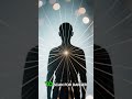 Most People Don’t Understand Nervous System Physiology — That’s Why Their Focus Fails