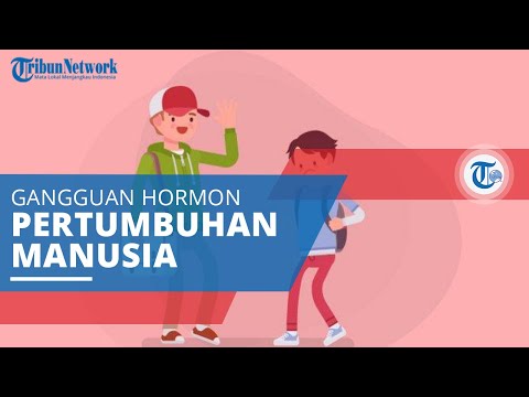 Video: Apa yang menyebabkan dwarfisme achondroplasia?