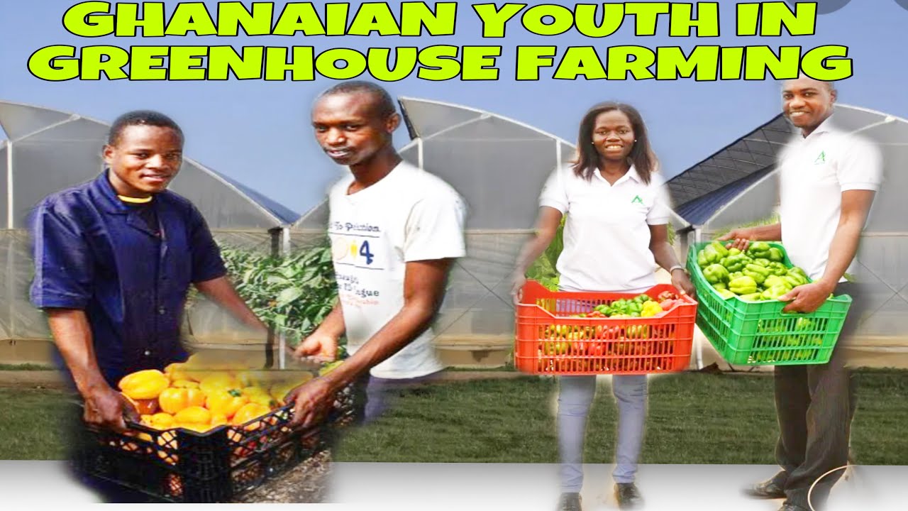 High technology greenhouse farming Ghanaian youth on the rise YouTube
