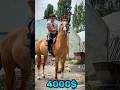 HORSE +996 551 36 00 39 #байтв