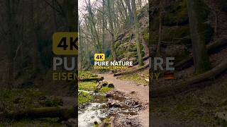 A Quiet Forest Walk in Eisenach 🇩🇪 Pure Nature in 4K