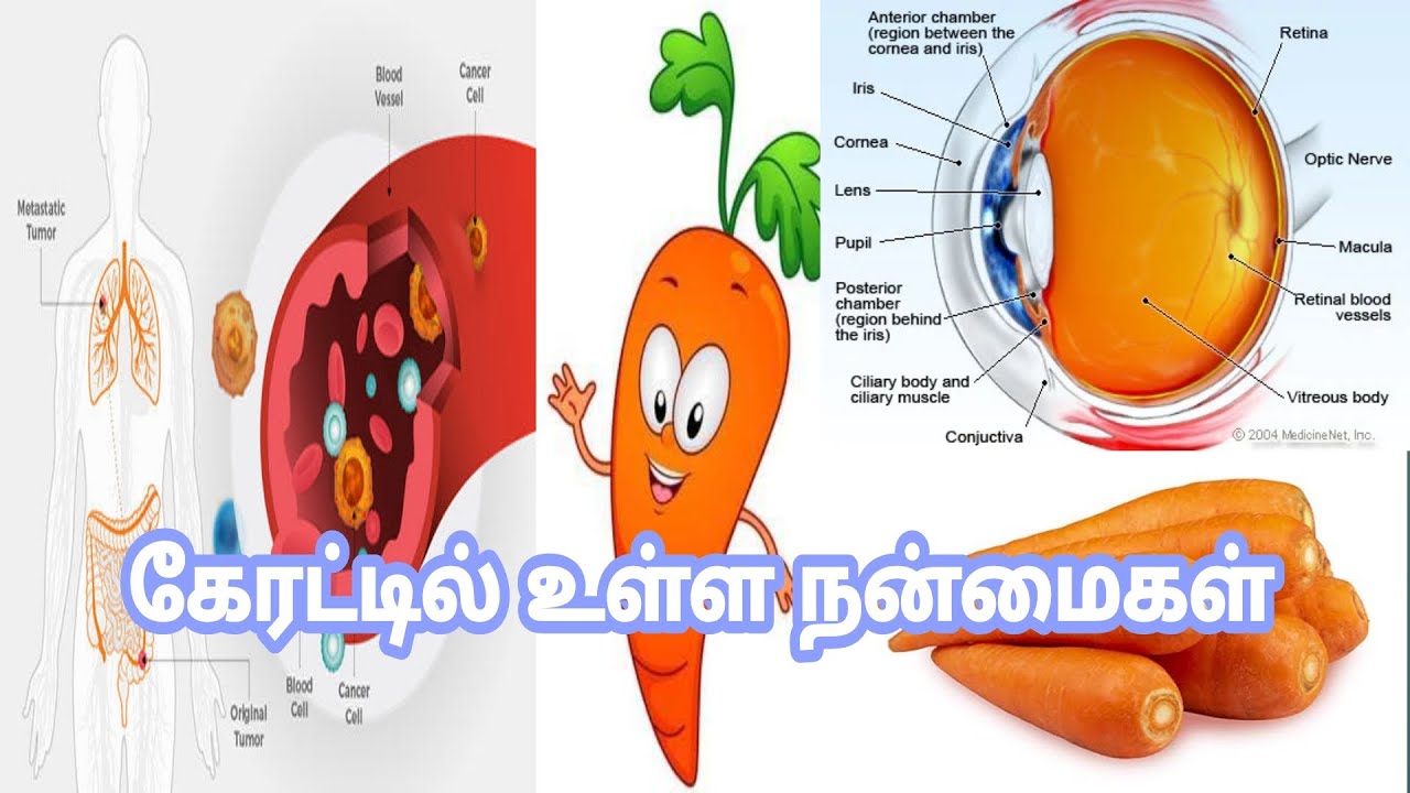 Carrot Benefits Tamil கேரட் நன்மைகள் Varun Health Tips VHT 