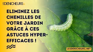 Eliminez Les Chenilles De Votre Jardin Grâce À Ces Astuces Hyper-Efficaces
