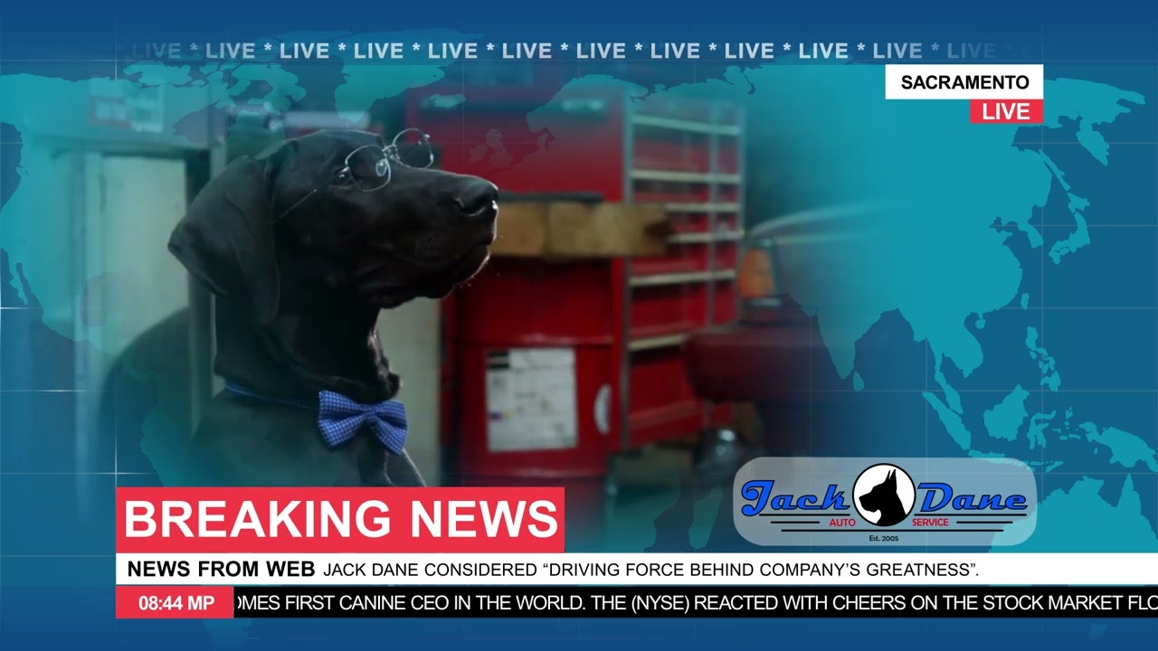 JDA Breaking News 30