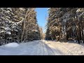 4K(UHD) Прогулка по зимнему лесу в Нижегородской области...