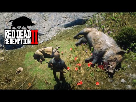 Видео: RDR2 ОГРОМНЫЙ ДИКИЙ КАБАН ЗАДРАЛ ИНВАЛИДА