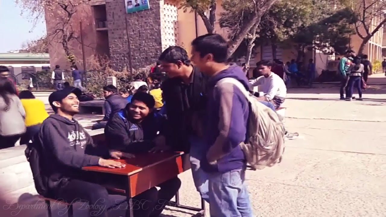 Department Of Zoology, Deshbandhu College, University Of Delhi - YouTube
