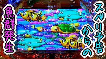 スベリ予告から魚群発生！どうなる！？大海物語スペシャルWithアグネス・ラム 海モード