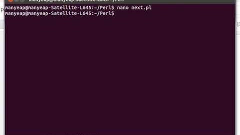 Perl Next Statement Example