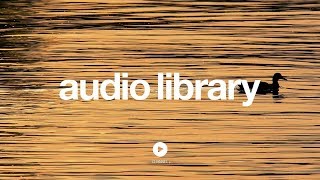 Blue Danube – Strauss (No Copyright Music)