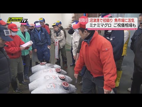 沼津港で初競り！ミナミマグロも “ご祝儀相場”…魚市場が活気にあふれる（静岡県）