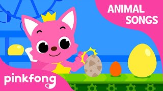 Knock, Knock! Whose Eggs? | Animal Songs | Learn Animals | Pinkfong Animal Songs for Children