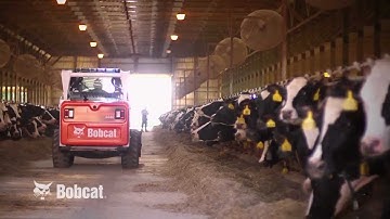 Bobcat M-Series Loaders: We Take Care of You on the Farm