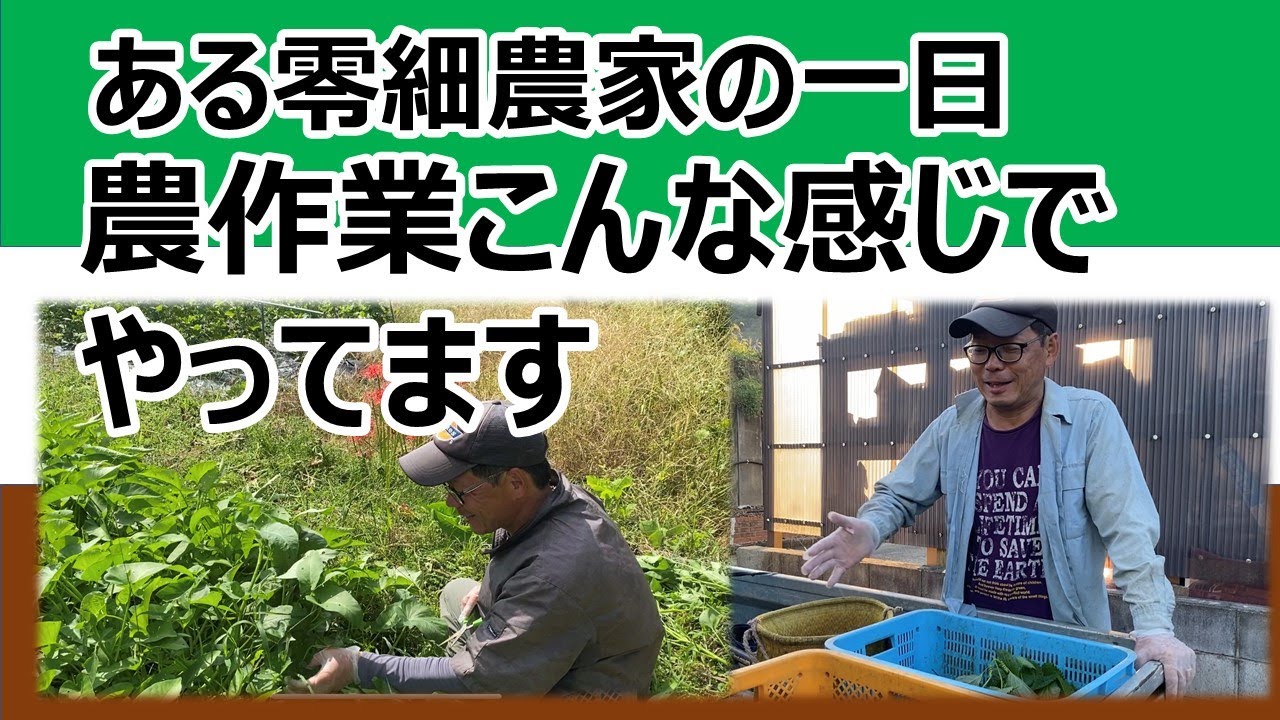 零細農
