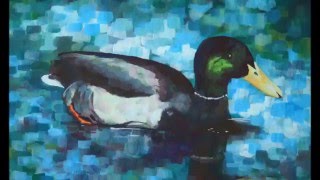 painting duck mallard acrylic process