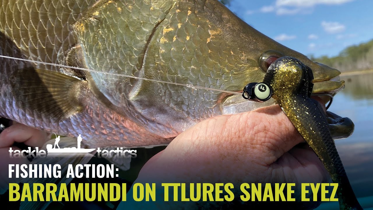 Barramundi Fishing with the TT Lures Snake EyeZ Jigheads 