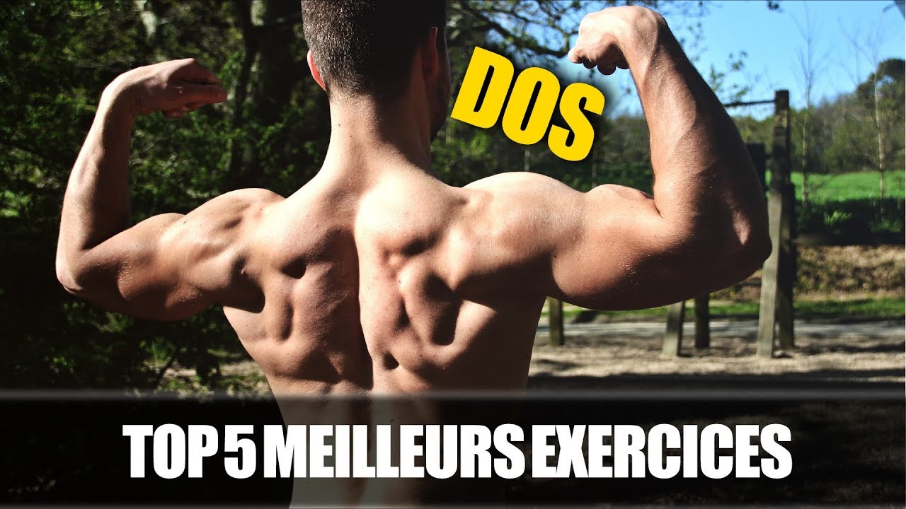 Top 5 meilleurs exercices poids du corps Dos YouTube Top 5 meilleurs exercices poids du corps Dos YouTube