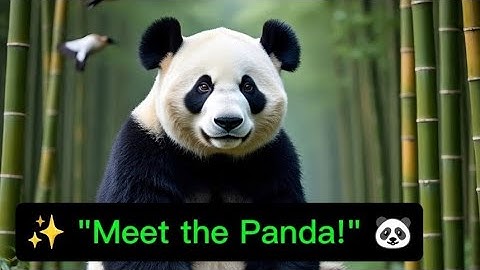 Meet the Panda: Nature’s Gentle Giant