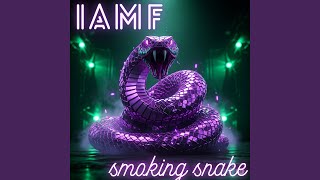 Don't Leave Me Anymore (Special Version) - IAMF