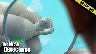 Full Blue Hole Alabama: Cigarette DNA Traps Henderson Williams | The New Detectives | S6 E12 Guide