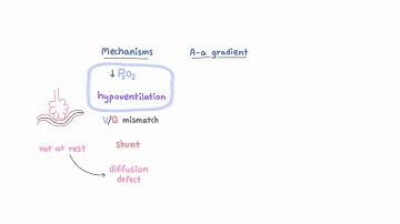 Mechanisms of hypoxemia