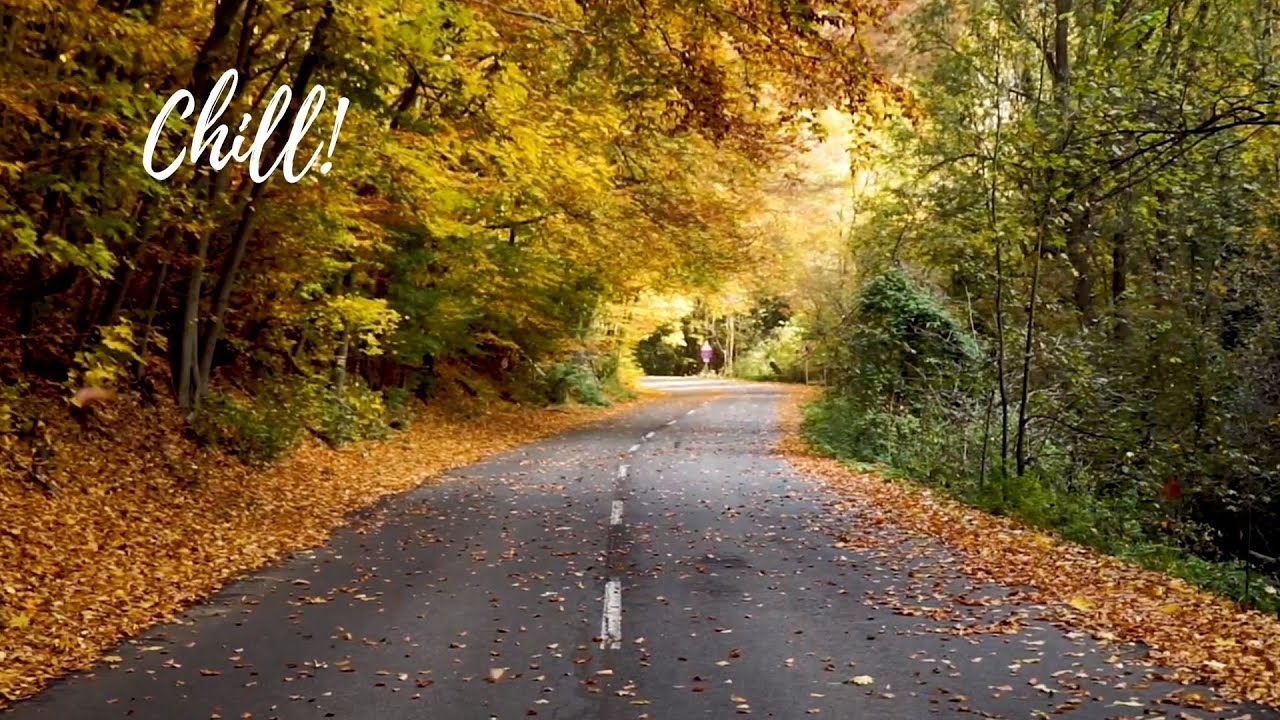 YouTubeでFalling Leaves Timelapse With Relaxing Chill Musicを視聴 YouTubeでFalling Leaves Timelapse With Relaxing Chill Musicを視聴