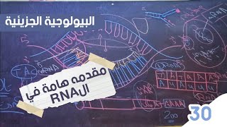 مقدمة هامة جداً في شرح الRNA-ليه بنجوع -وحكاية الفطير  أحياء الثانوية العامة|محمد مروان 