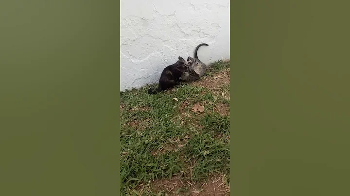 Learning For Life