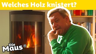 Wieso knistert Holz im Kamin? | Die Maus | WDR