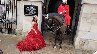 OMG  Her KIND Control of the Reins Changed everything  Who is she?  Horse Guards in London