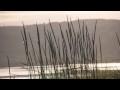 Manuel Göttsching.- Echo Waves