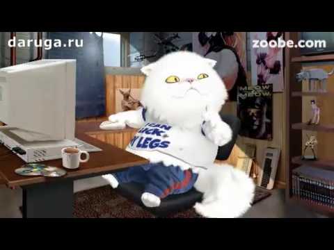 Что говорить, с большой охотой мы провели наш в...